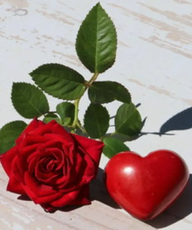 Condolence image of Claudia/ASKO ❤️ 