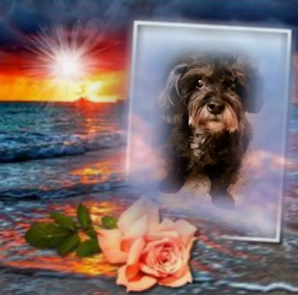 Condolence image of ❤️❤️