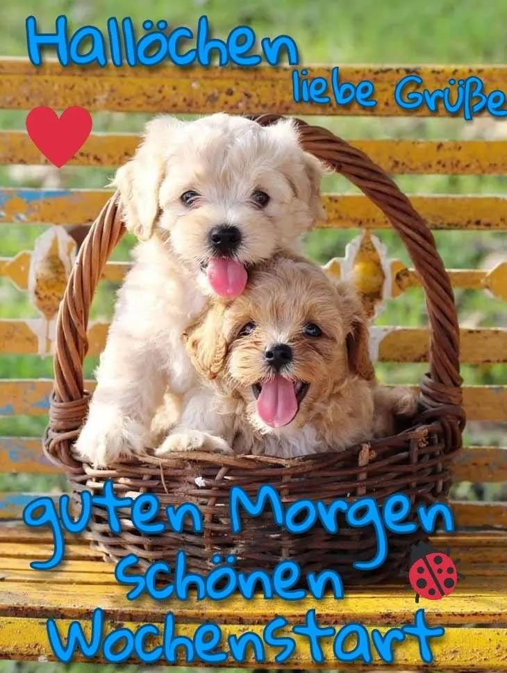 Condolence image of Claudia/ASKO ❤ 