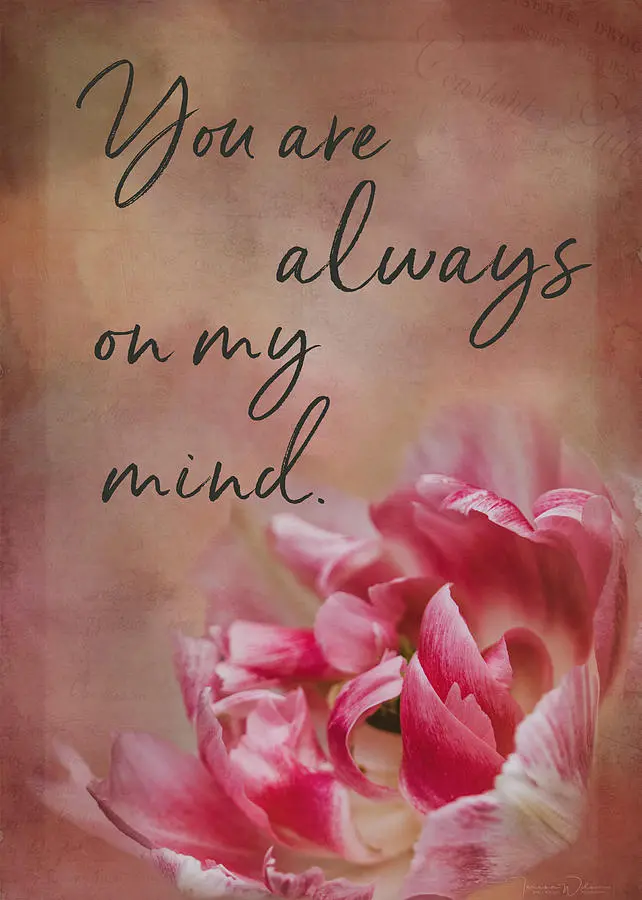 Condolence image of Gaby für Fiby ❤️