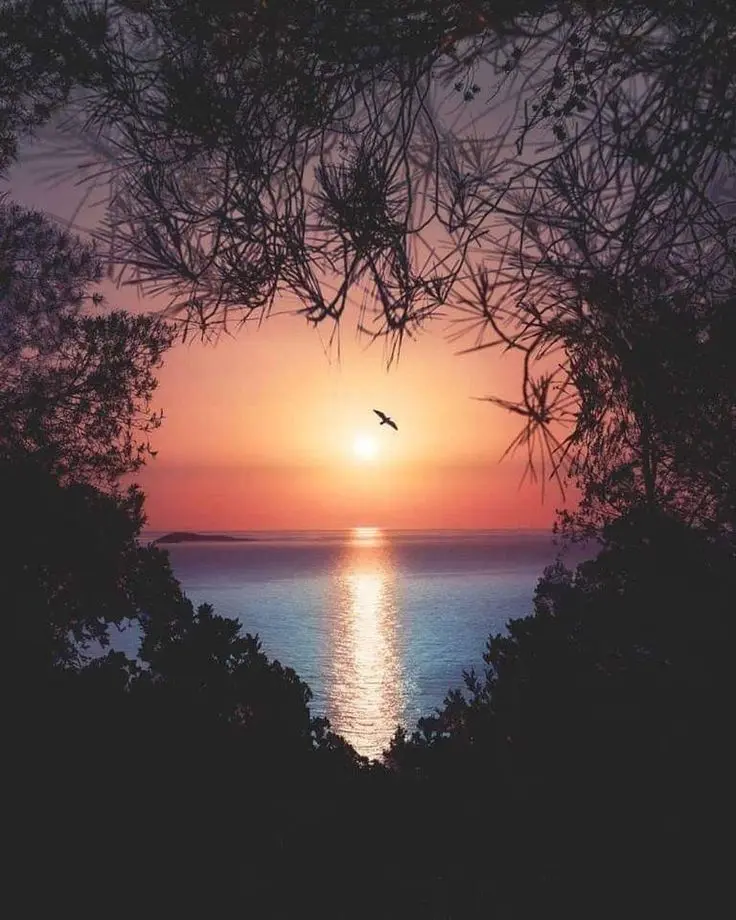 Condolence image of Claudia/ASKO ❤️ 