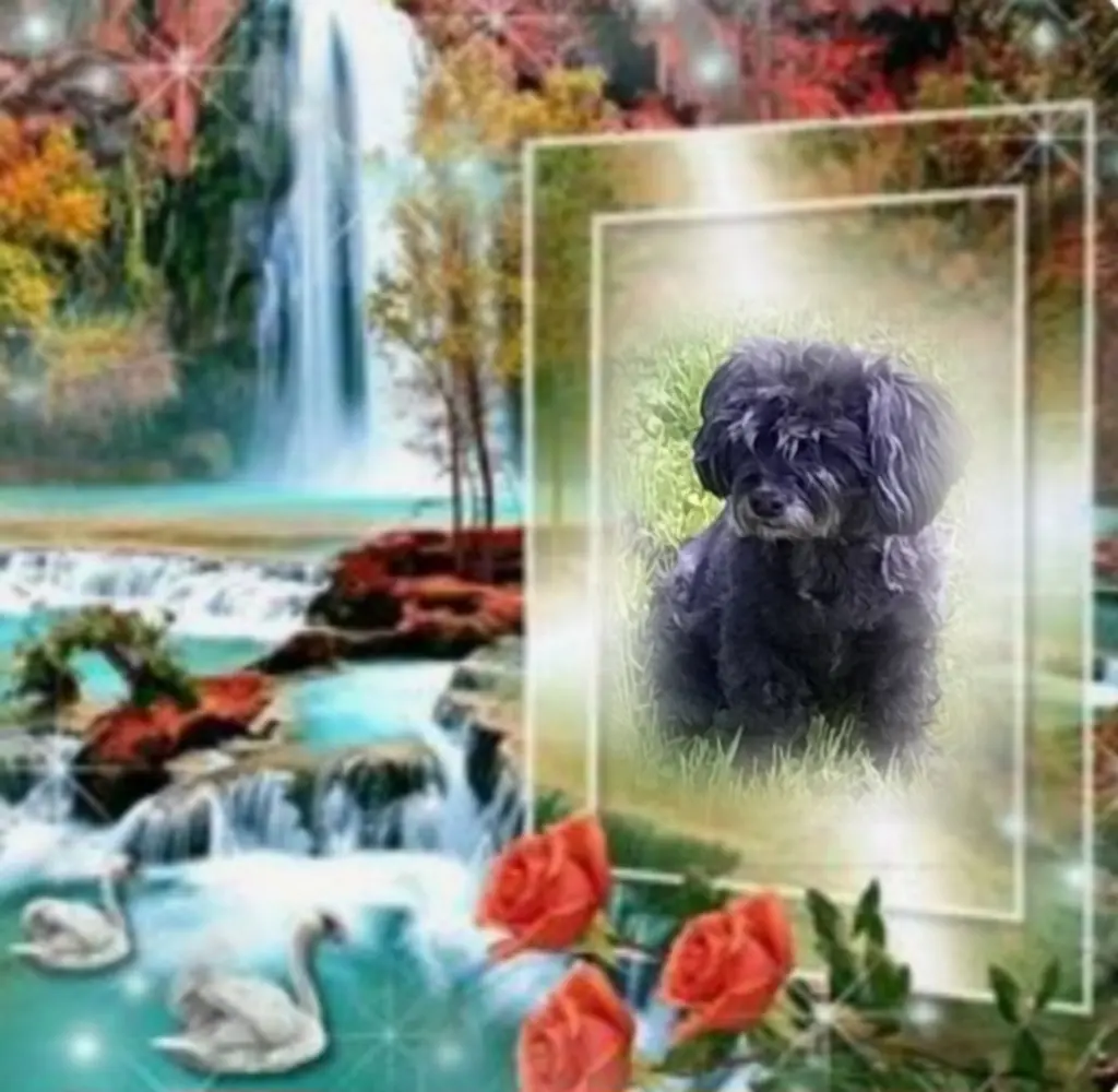 Condolence image of ❤️❤️