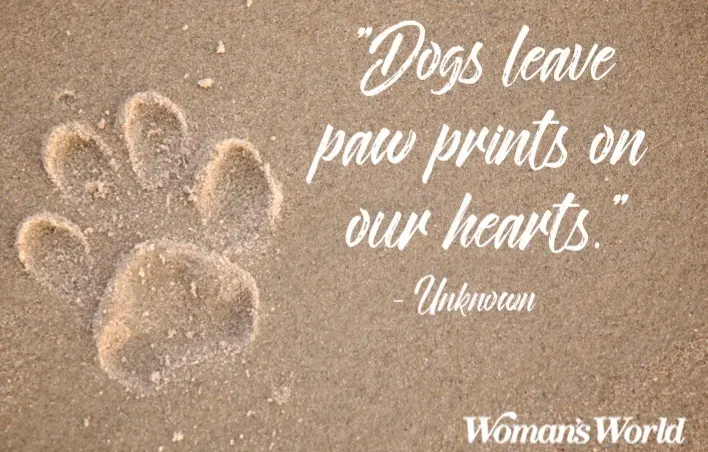 Condolence image of Claudia/ASKO ❤️ 