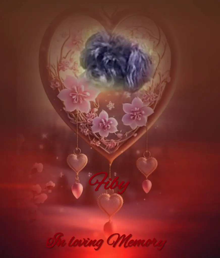 Condolence image of Gaby mit Snowy* im Herzen