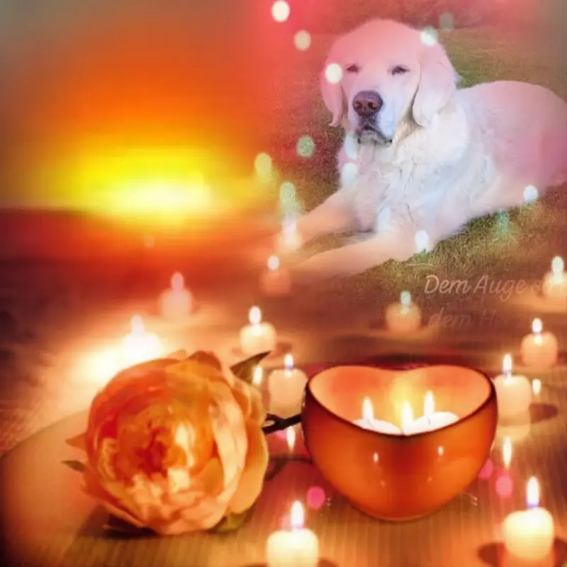 Condolence image of Claudia u.ASKO❤️ 