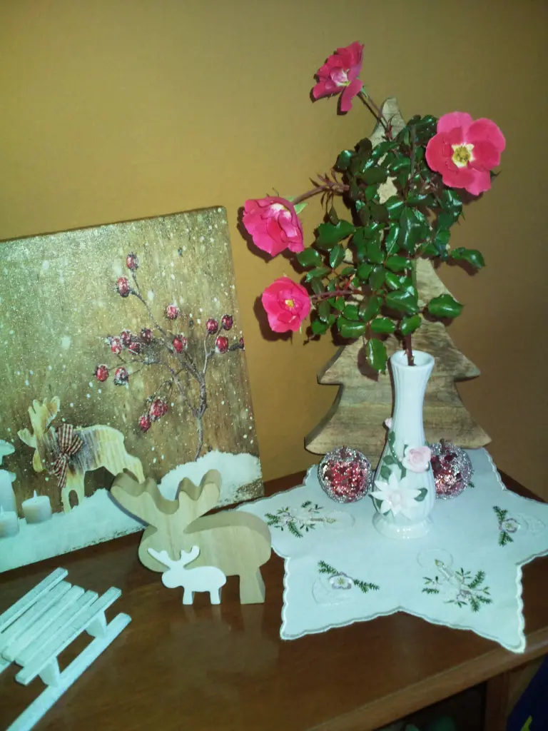 Condolence image of Manuela mit Seelenhund Flick