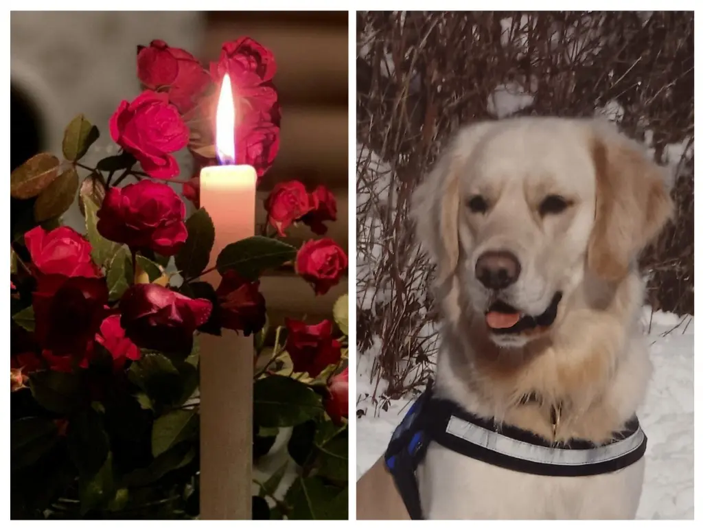 Condolence image of ASKO ❤️