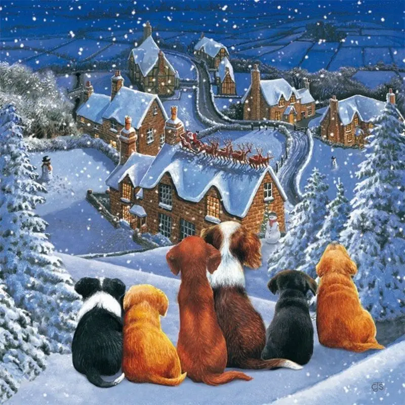 Condolence image of ASKO❤️f.Fiby❤️ 