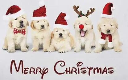 Condolence image of ASKO ❤️ 