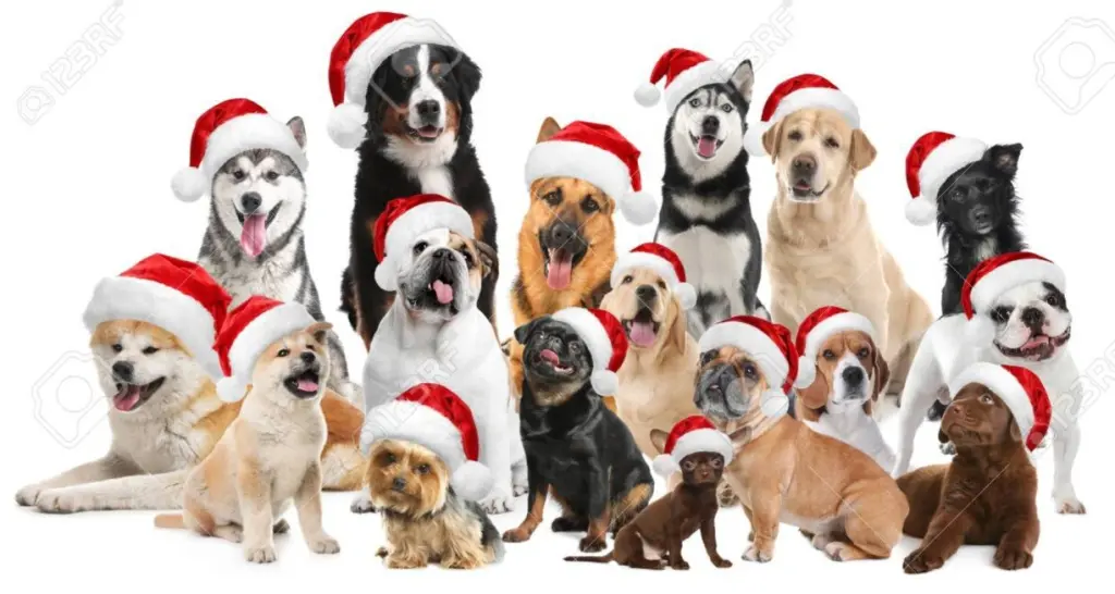 Condolence image of ASKO ❤️