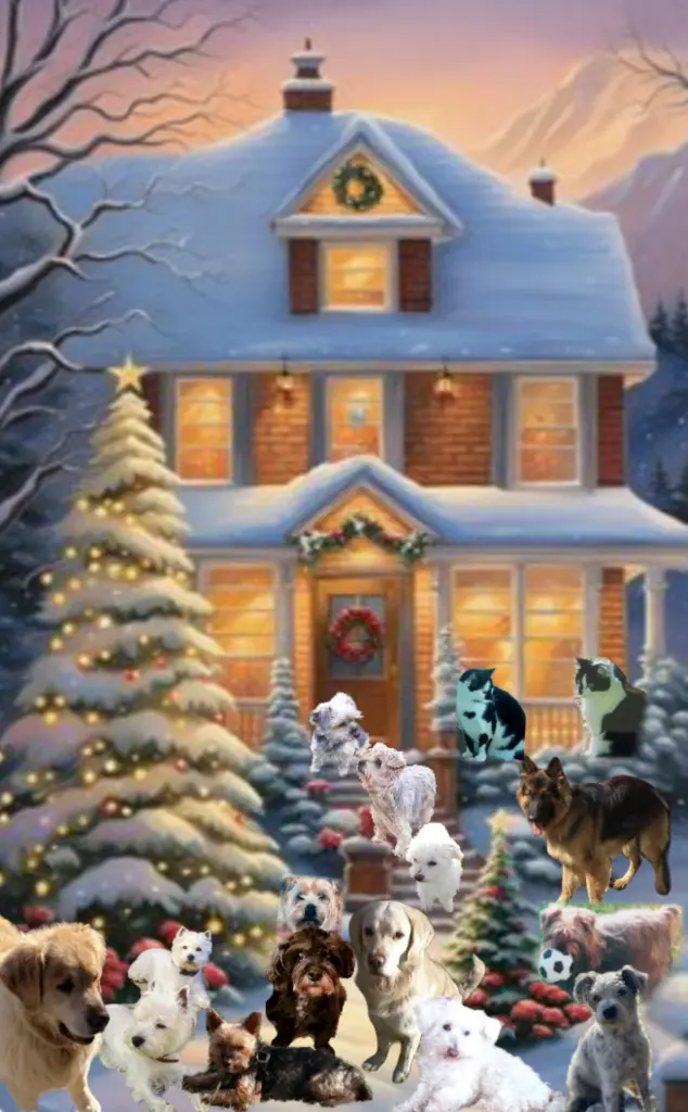 Condolence image of ❤️Weihnachten im Regenbogenland❤️