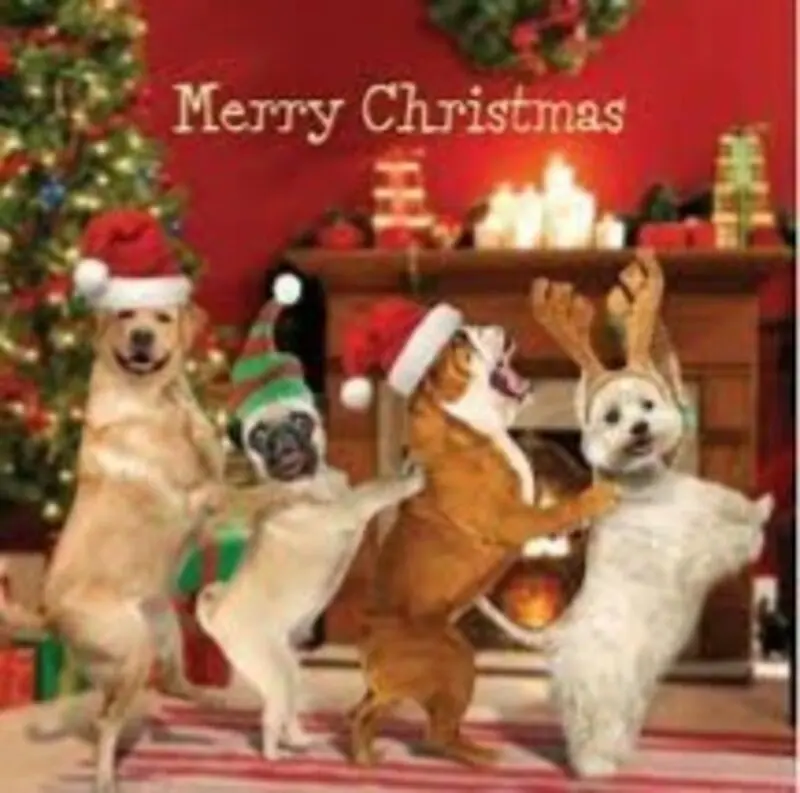 Condolence image of für Tommy❤️ und Fiby❤️