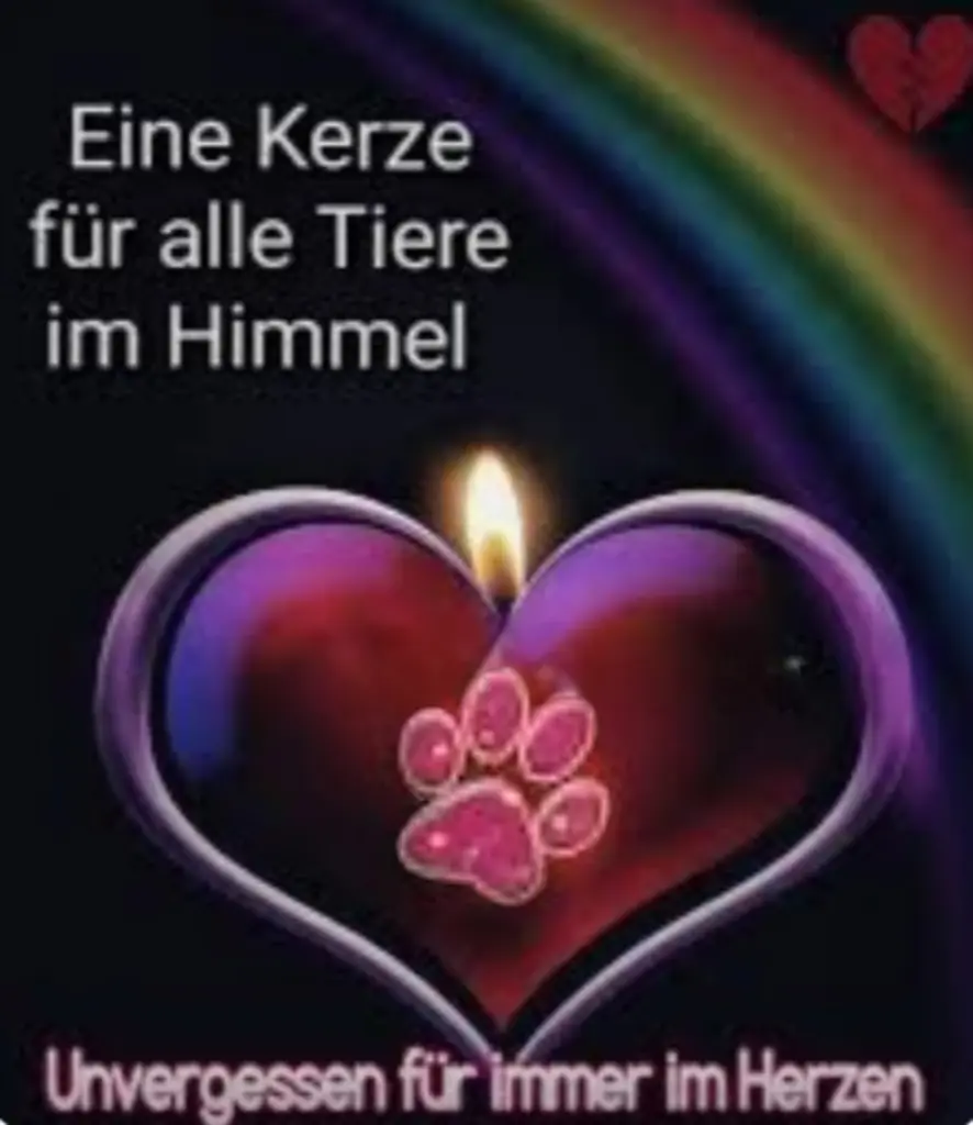 Condolence image of ❤️Für immer im Herzen❤️