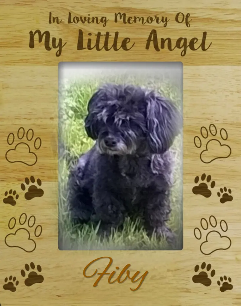 Condolence image of Fiby❤️ geliebt❤️ und unvergessen❤️