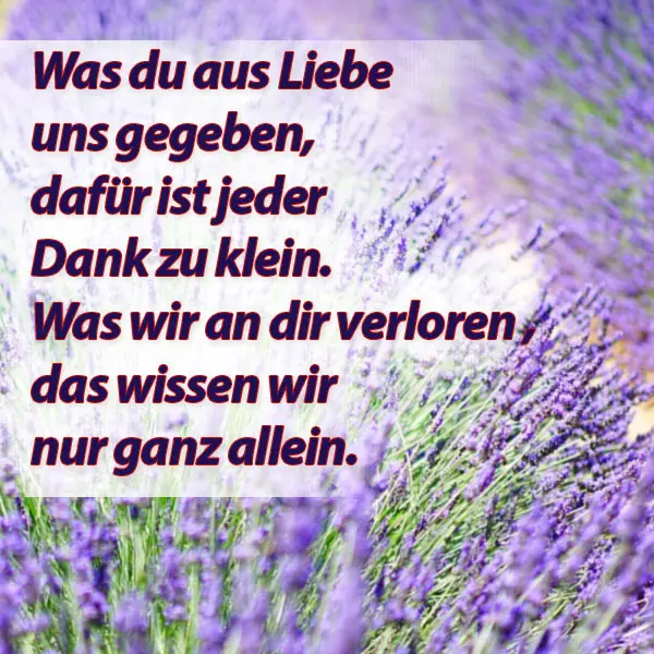 Condolence image of ❤️ ⭐️ ❤️ 39 Monate ohne dich ❤️ ⭐️ ❤️