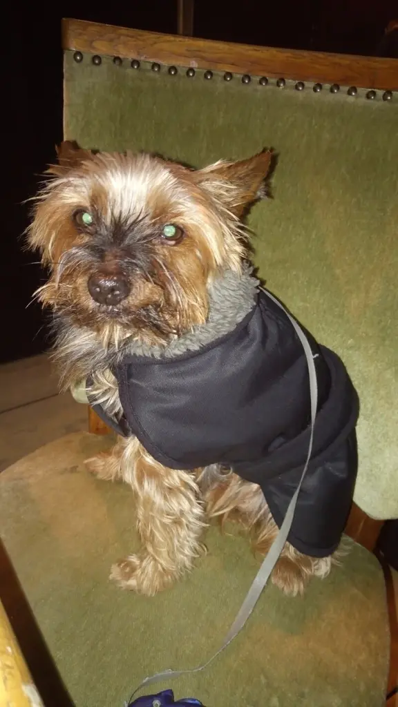 Condolence image of Flick