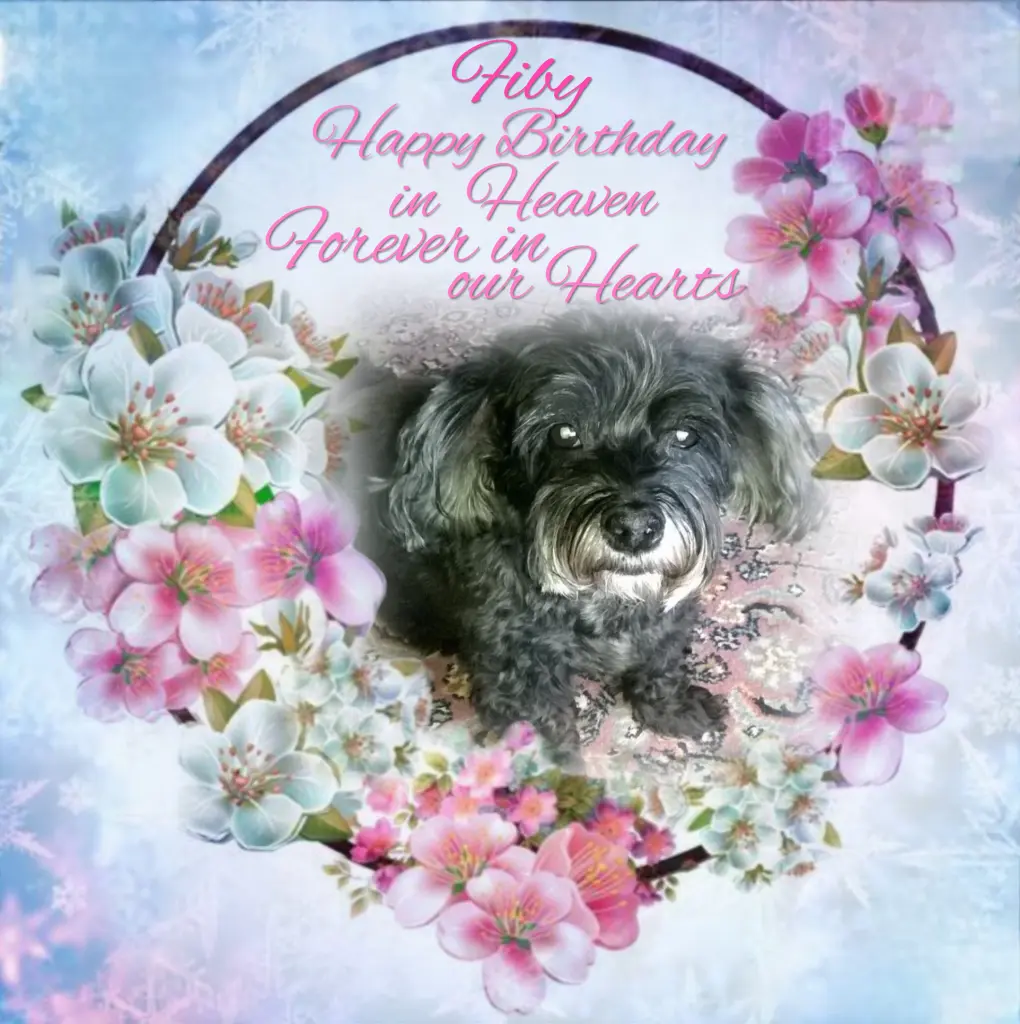 Condolence image of ❤️Happy Birthday liebe Fib❤️