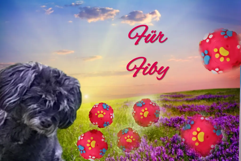 Condolence image of Gaby mit Snowy* im Herzen 