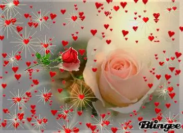 Condolence image of ❤️für Fiby