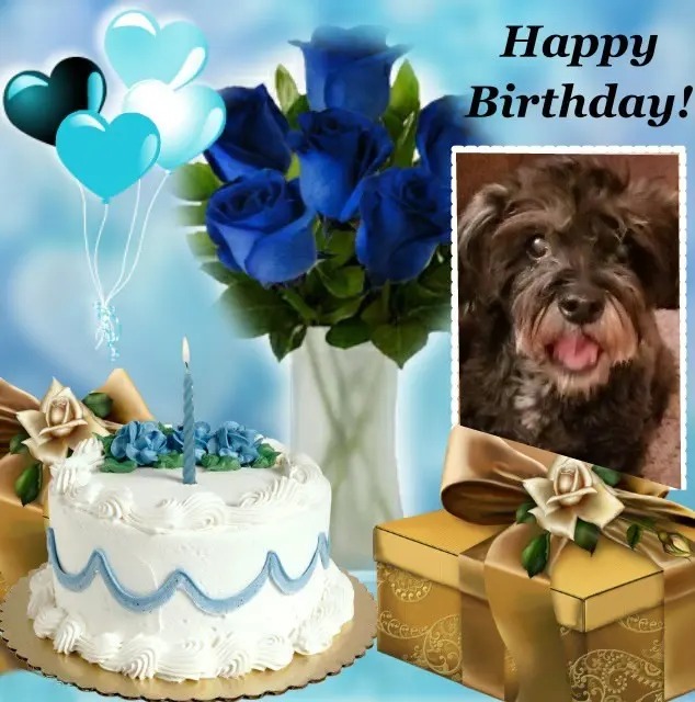 Condolence image of Andrea mit Minki im ♥️