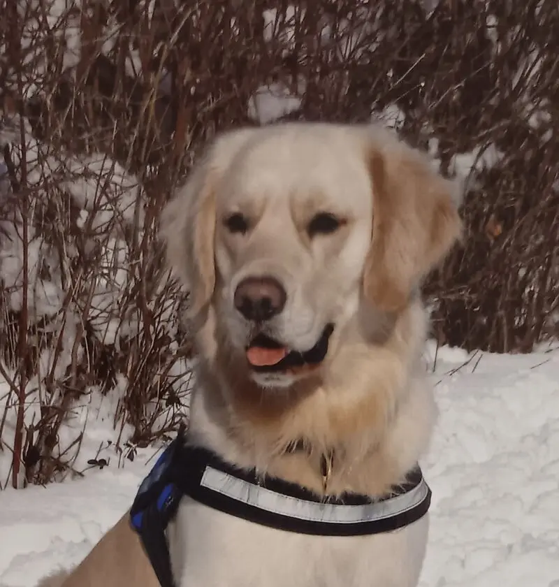 Condolence image of Claudia mit ASKO ❤ 