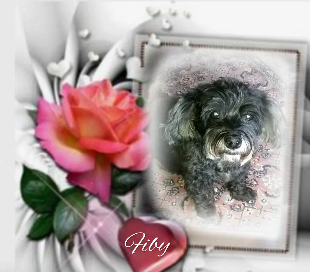 Condolence image of ❤️❤️