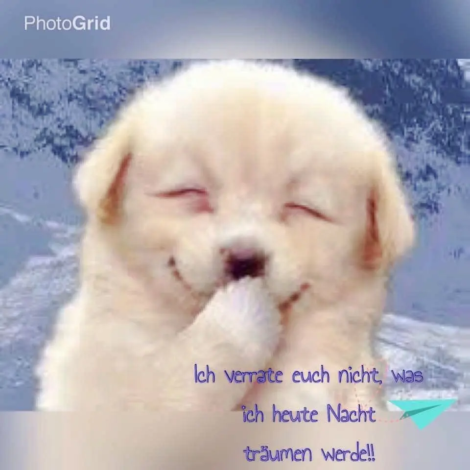 Condolence image of ⭐️❤️⭐️ Gute Nacht ⭐️❤️⭐️