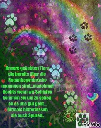 Condolence image of Claudia mit ASKO❤️