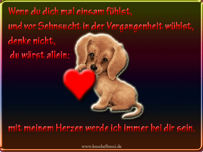 Condolence image of ❤️ Luna ❤️