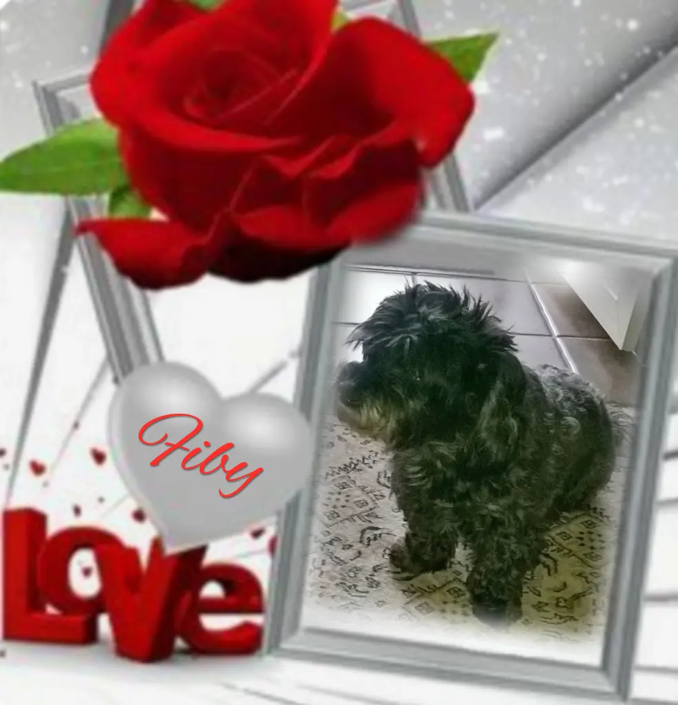 Condolence image of ❤️❤️