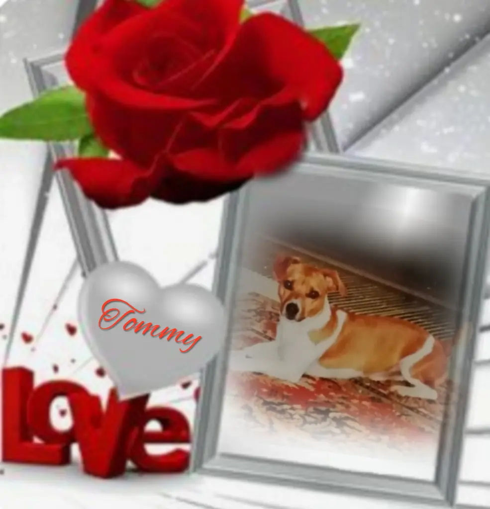 Condolence image of ❤️❤️