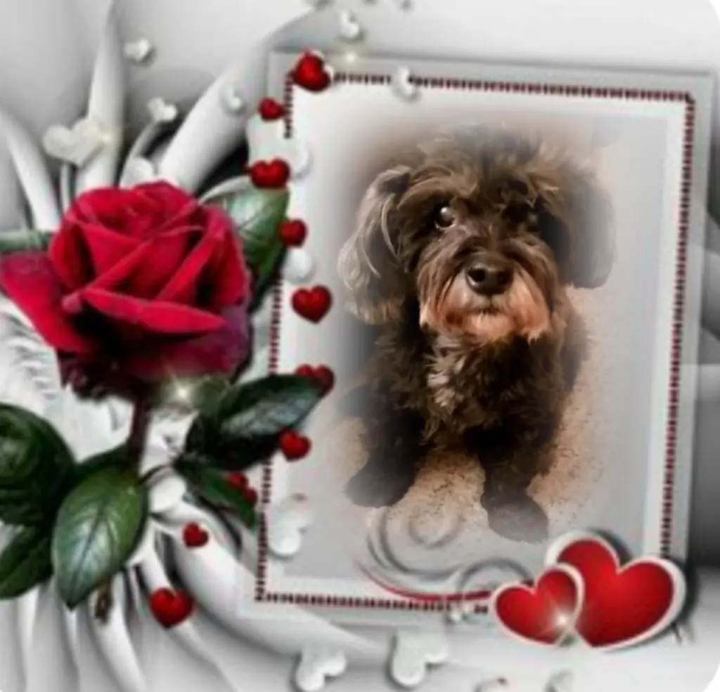 Condolence image of ❤️❤️