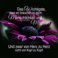 Condolence image of Angelika mit Luna ❤️