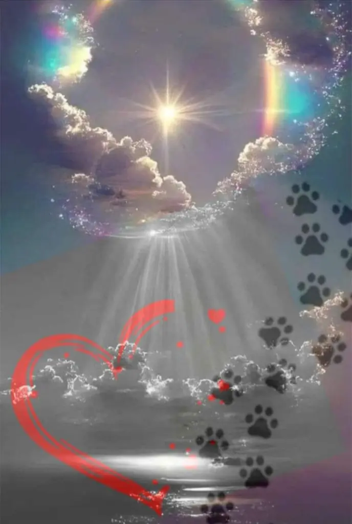 Condolence image of Claudia mit ASKO❤️ 