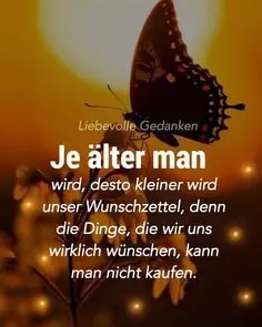 Condolence image of Angelika mit Luna ❤️