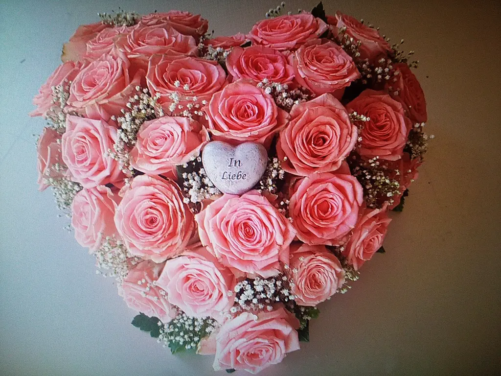 Condolence image of Für Fiby