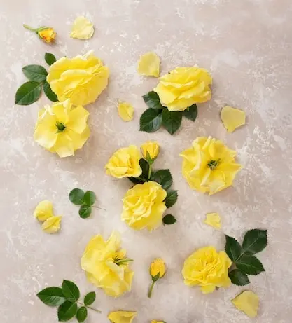 Condolence image of Gaby mit Snowy ❤️