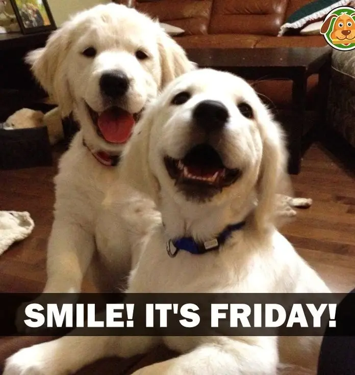 Condolence image of Claudia mit ASKO❤️ 