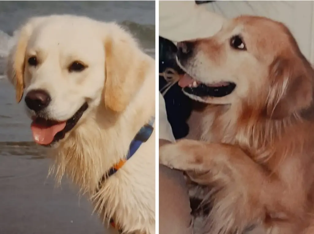 Condolence image of Claudia mit ASKO❤️