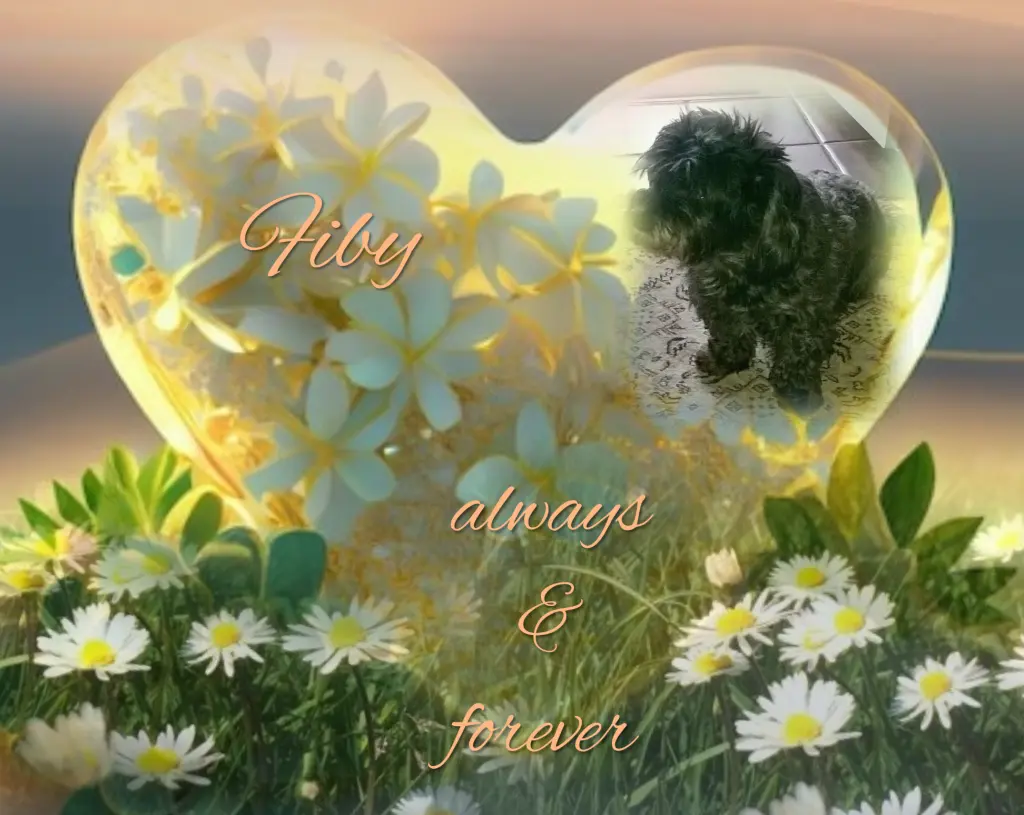 Condolence image of 42 Monate..... Sehnsucht ♥️