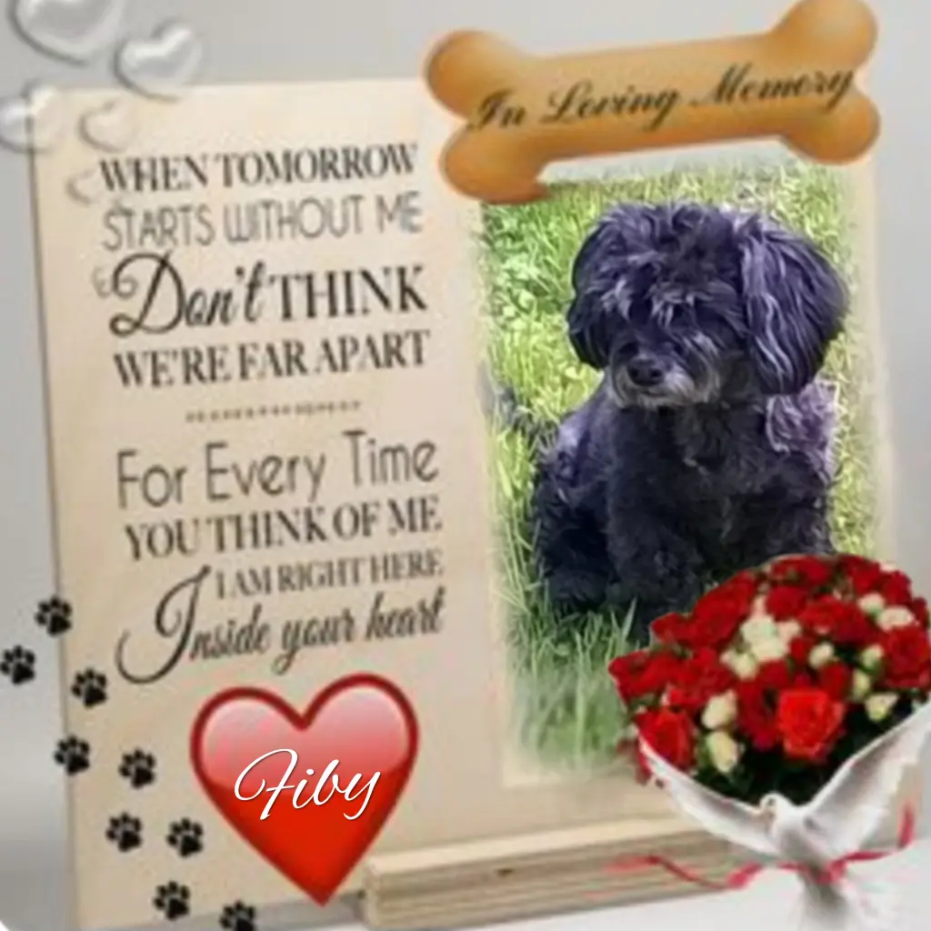 Condolence image of ❤️to❤️