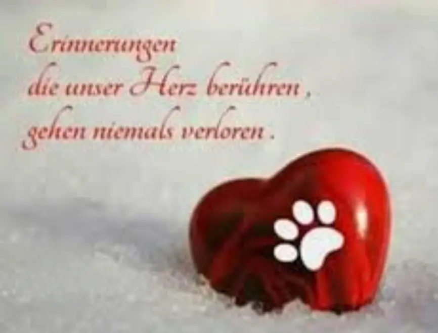 Condolence image of Ewa & Krzysztof mit Jacki tief im Herzen❤️