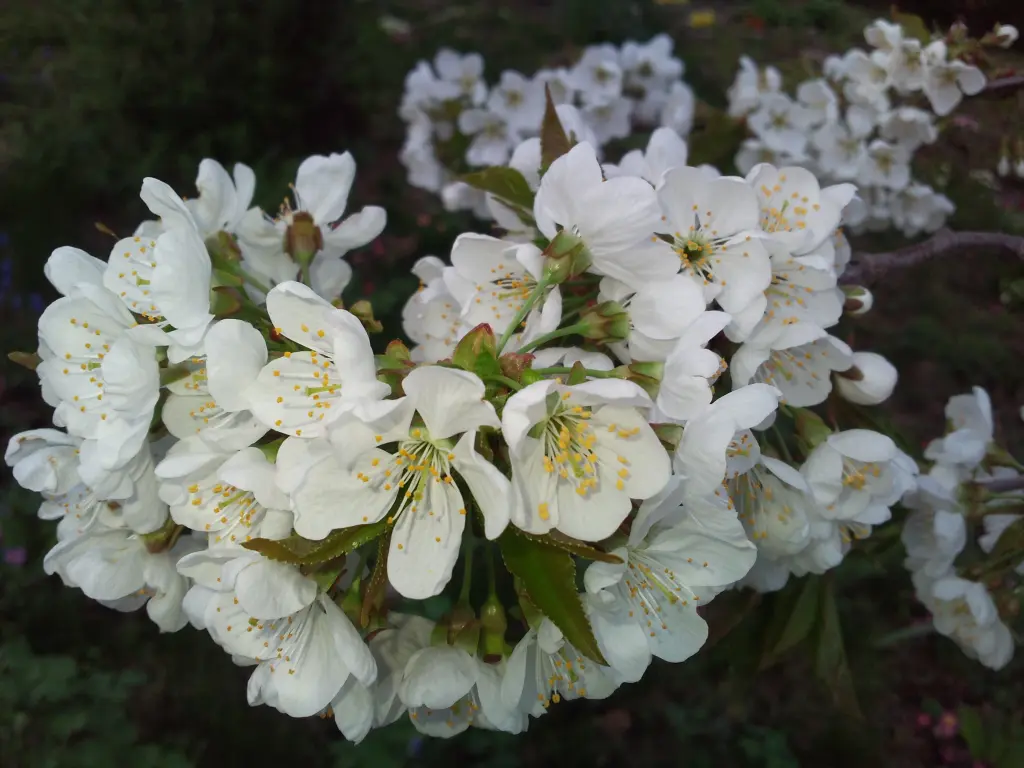 Condolence image of Einen guten Wochenstart