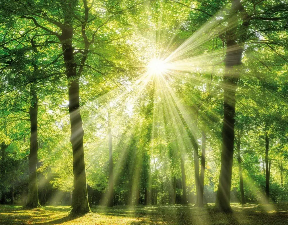 Condolence image of Claudia mit ASKO❤️