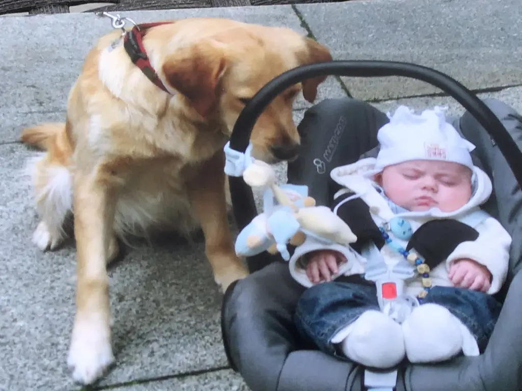 Condolence image of Angelika mit Luna ❤️