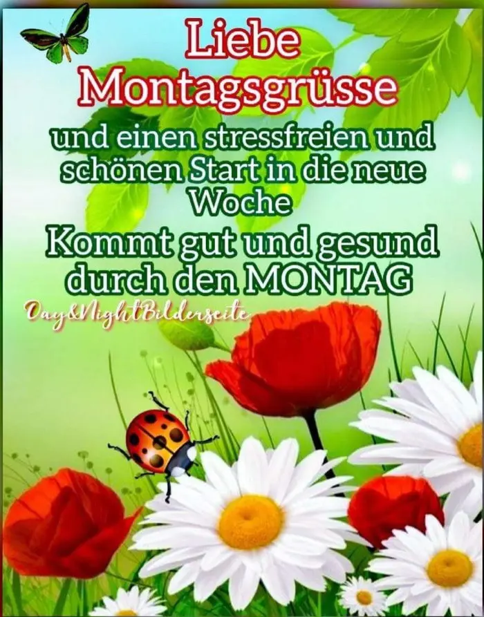 Condolence image of Claudia mit ASKO❤️ 