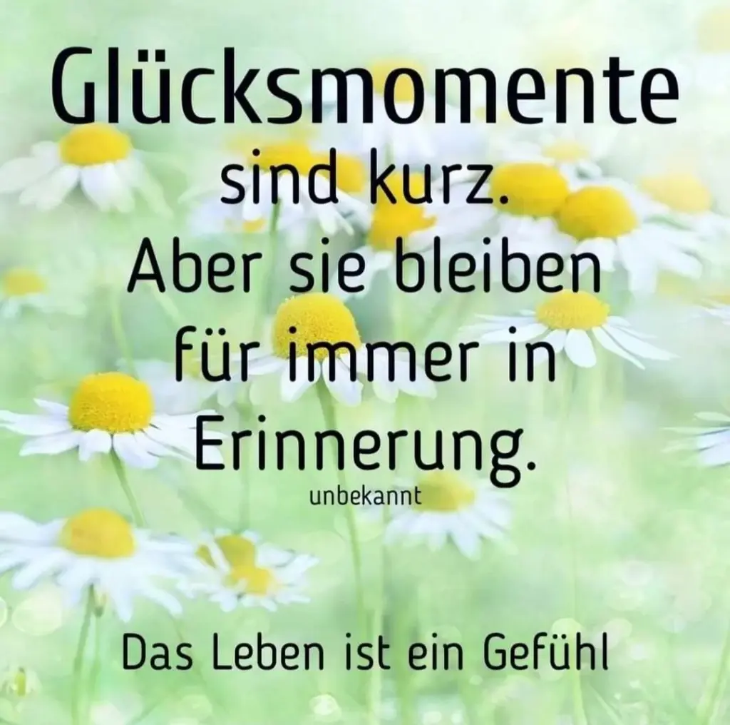 Condolence image of für Fiby❤️ und Tommy❤️