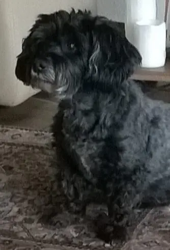 Condolence image of ❤️ Unser Engel ❤️