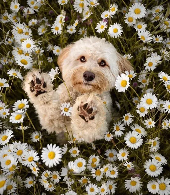 Condolence image of Claudia mit ASKO❤️ 