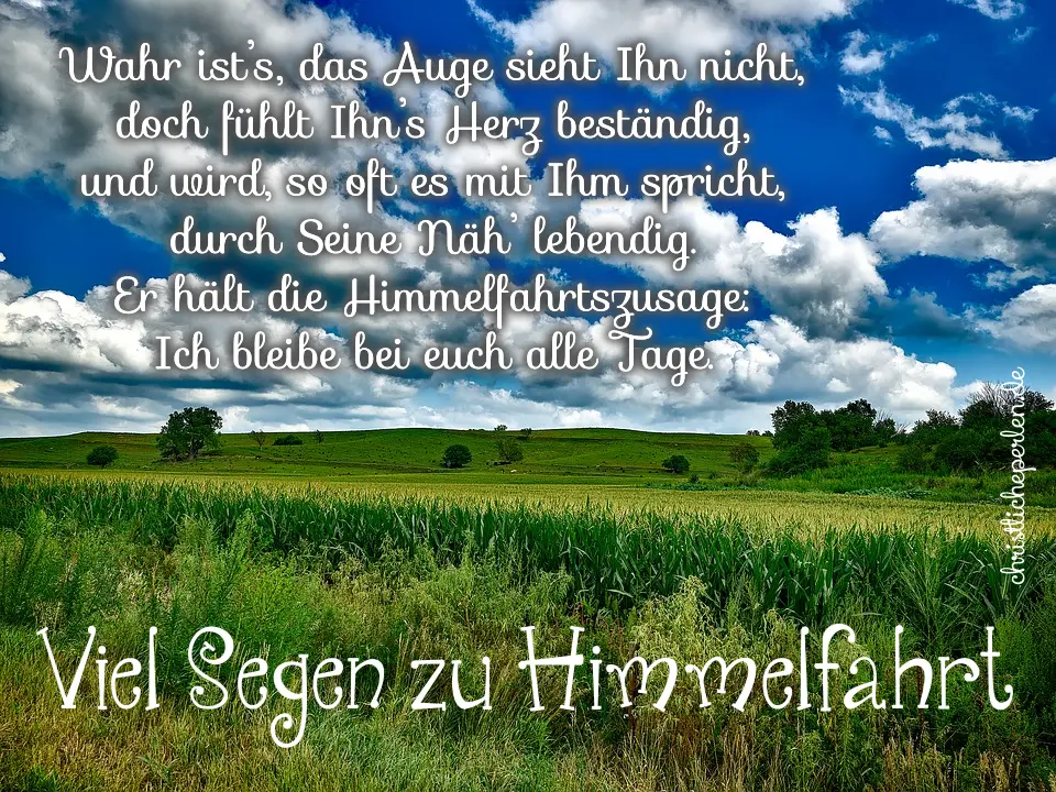 Condolence image of Angelika mit Luna ❤️